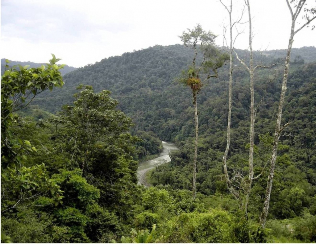 Foto de Limon, Costa Rica