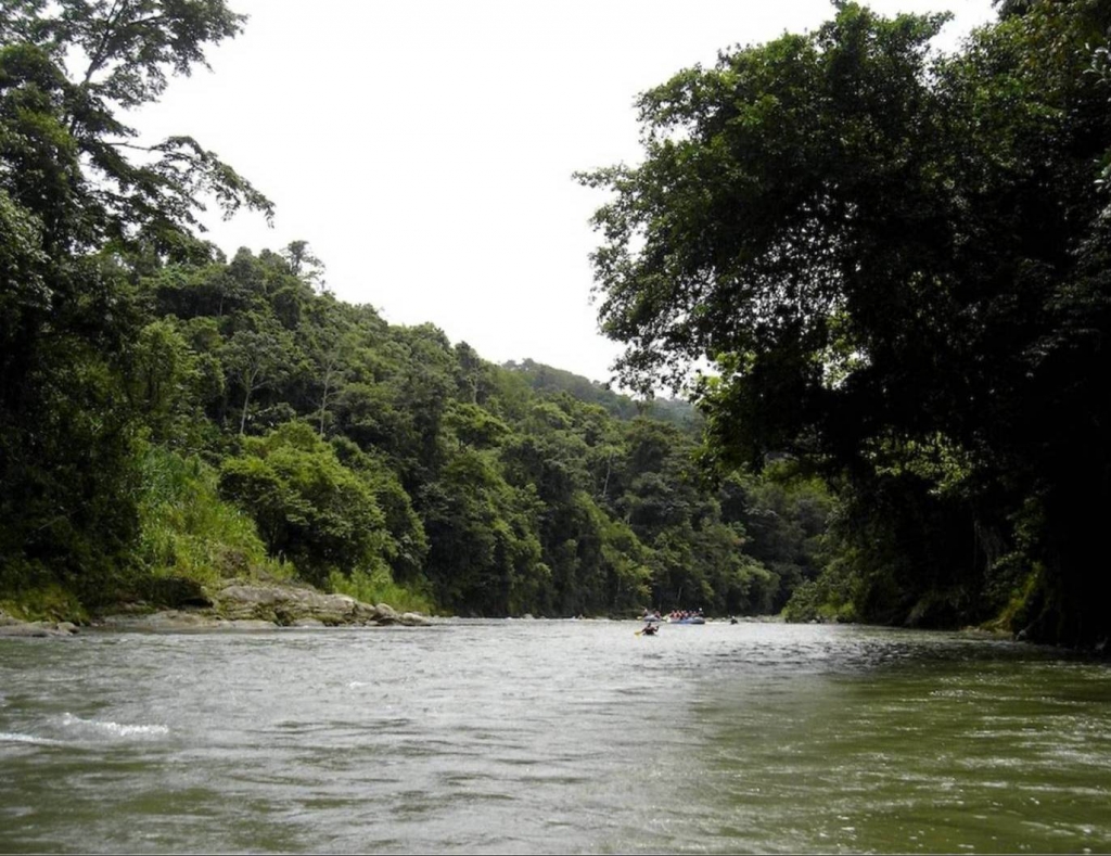 Foto de Limon, Costa Rica