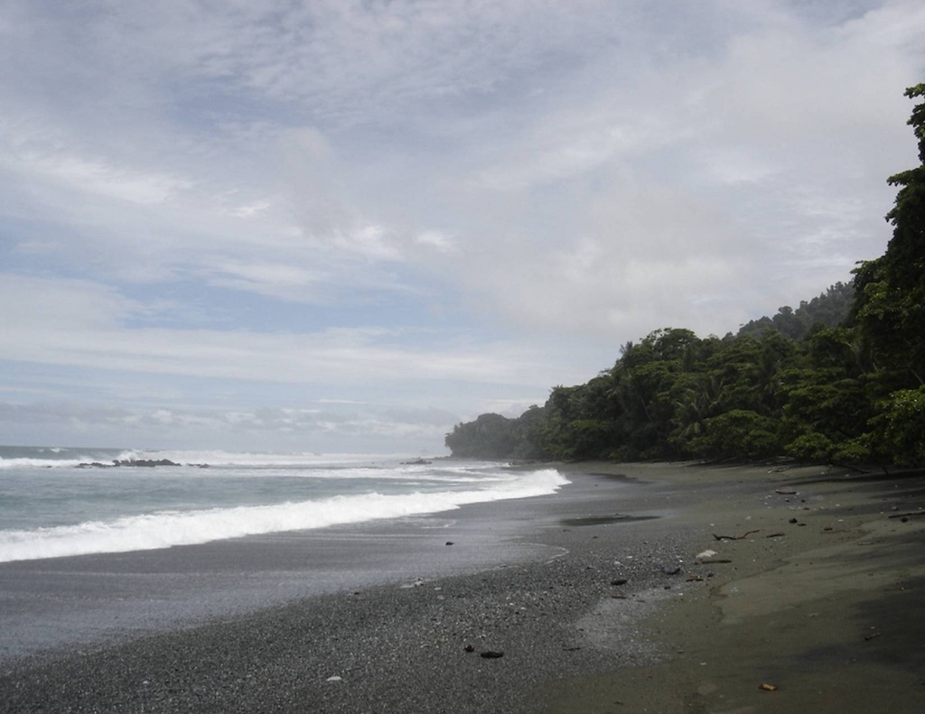 Foto de Peninsula de Osa, Puntarenas, Costa Rica