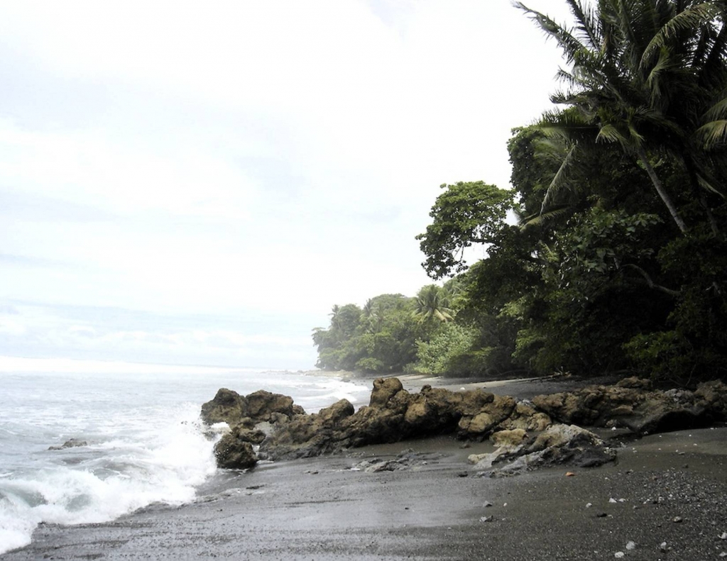 Foto de Peninsula de Osa, Puntarenas, Costa Rica