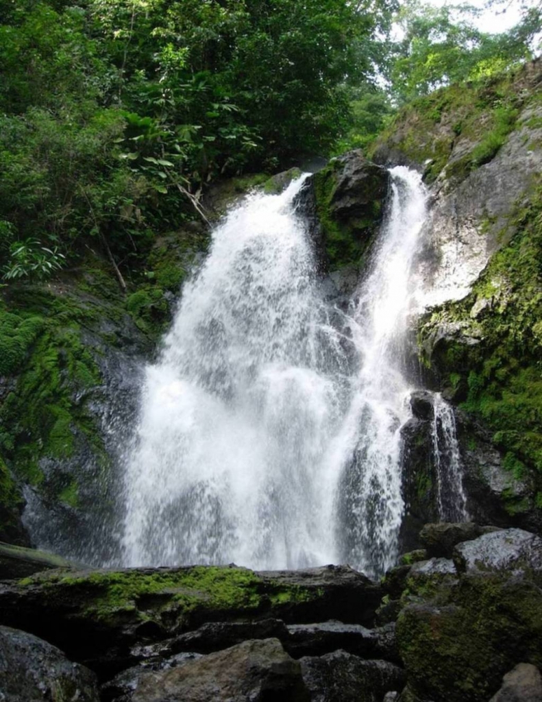 Foto de Peninsula de Osa, Puntarenas, Costa Rica