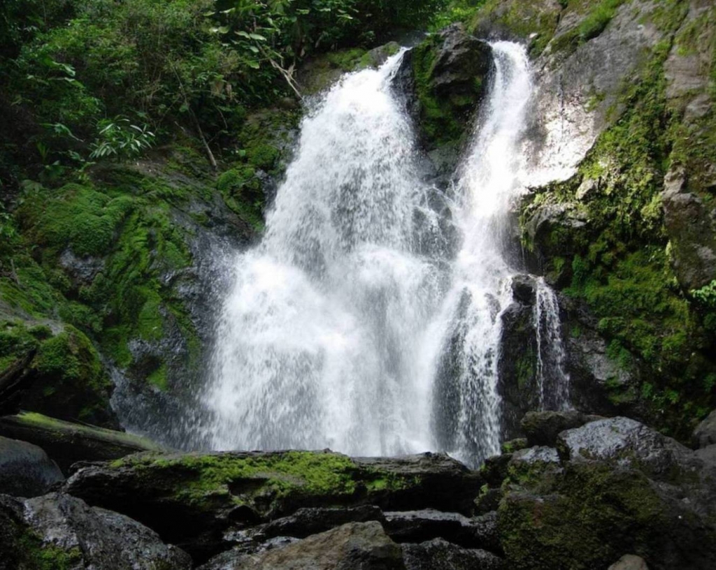 Foto de Peninsula de Osa, Puntarenas, Costa Rica