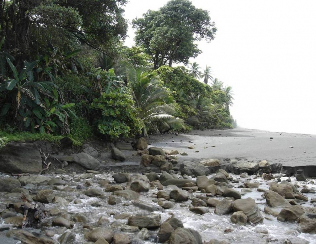 Foto de Peninsula de Osa, Puntarenas, Costa Rica