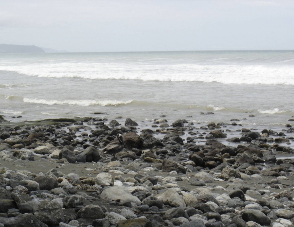 Foto de Peninsula de Osa, Puntarenas, Costa Rica