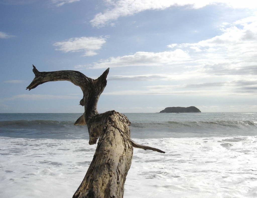 Foto de Parque Nacional Manuel Antonio (Puntarenas), Costa Rica