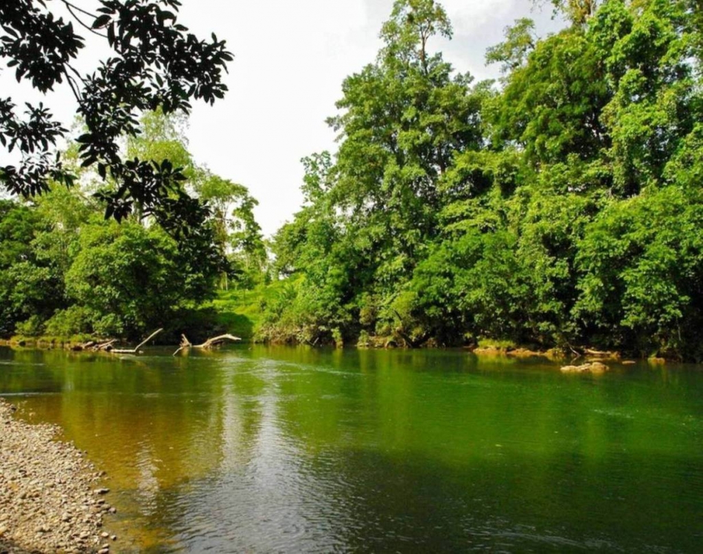 Foto de Sarapiqui (Heredia), Costa Rica