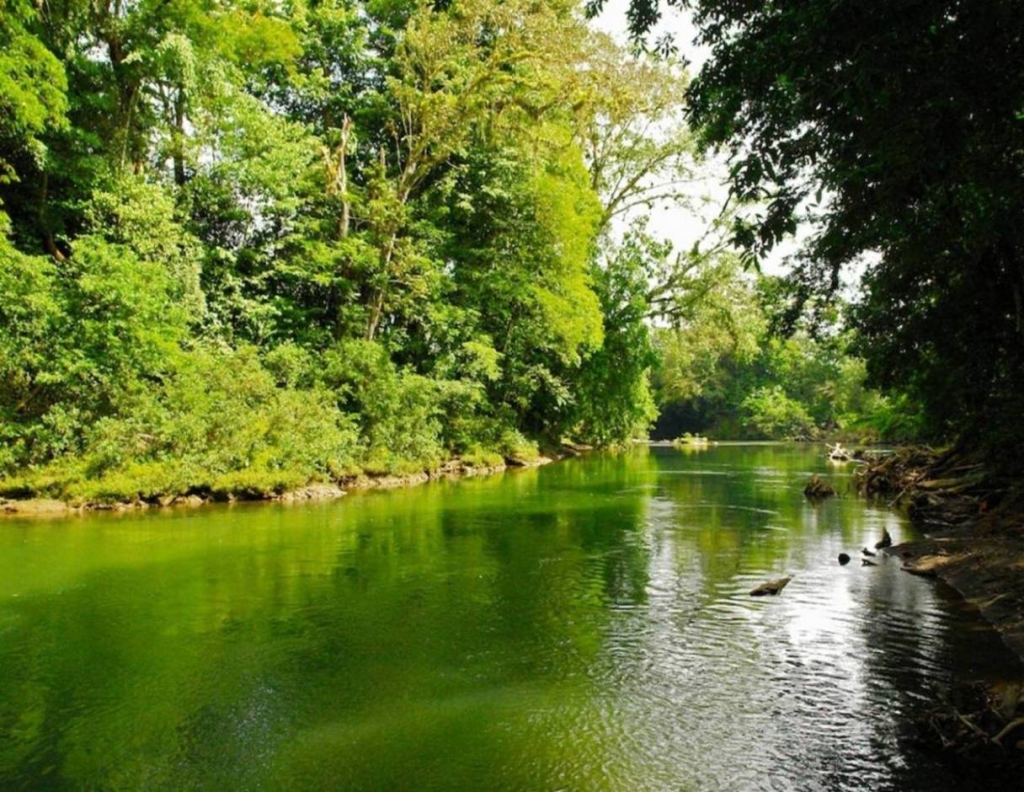 Foto de Sarapiqui (Heredia), Costa Rica