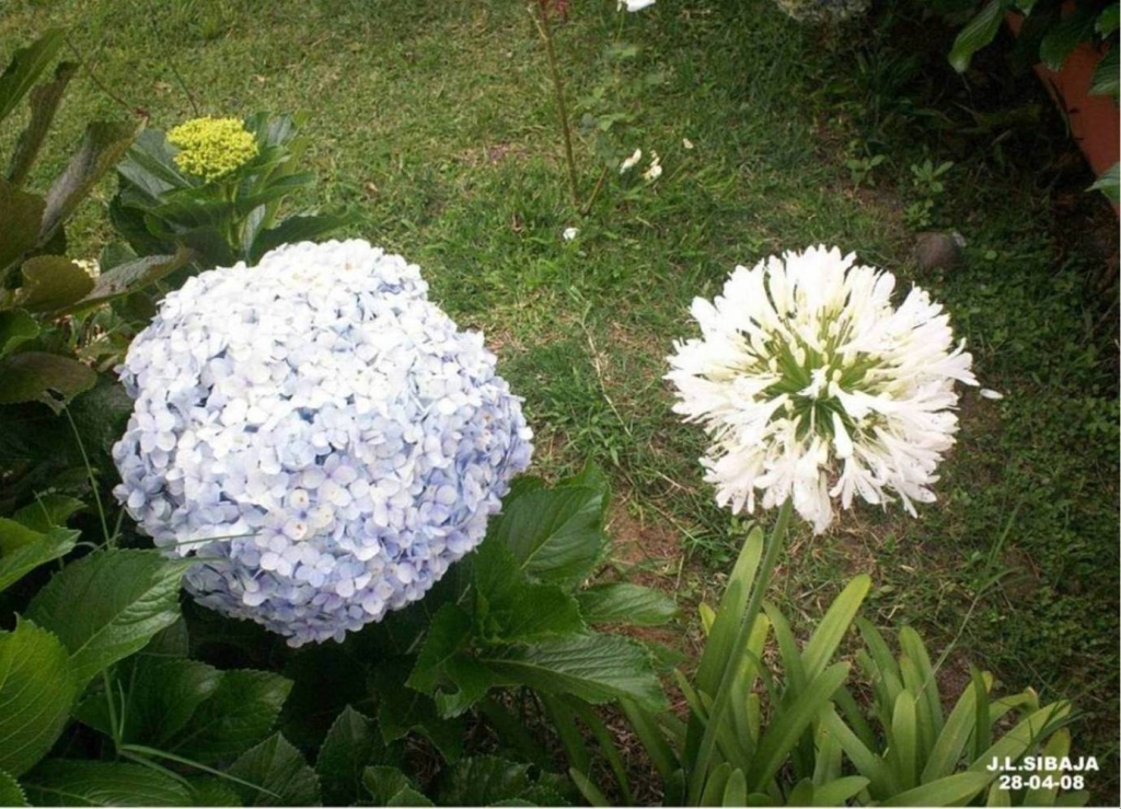 Foto de Carrizal (Alajuela), Costa Rica