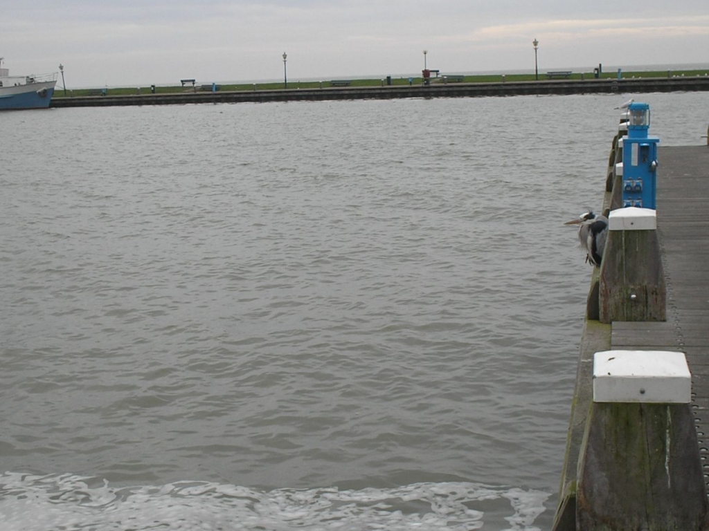 Foto de Volendam, Países Bajos