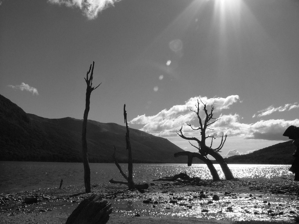 Foto de Tierra del Fuego, Argentina