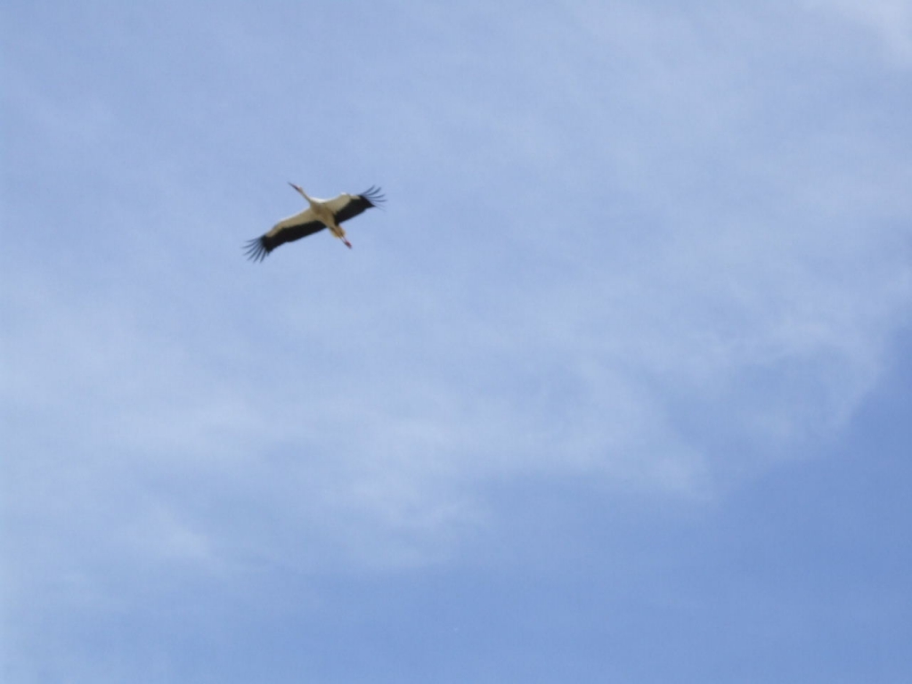 Foto de Mutzig, Francia