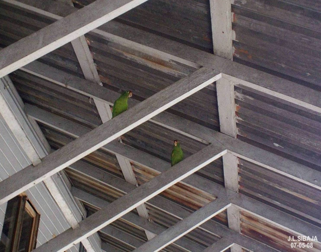 Foto de San Ramón, Alajuela, Costa Rica