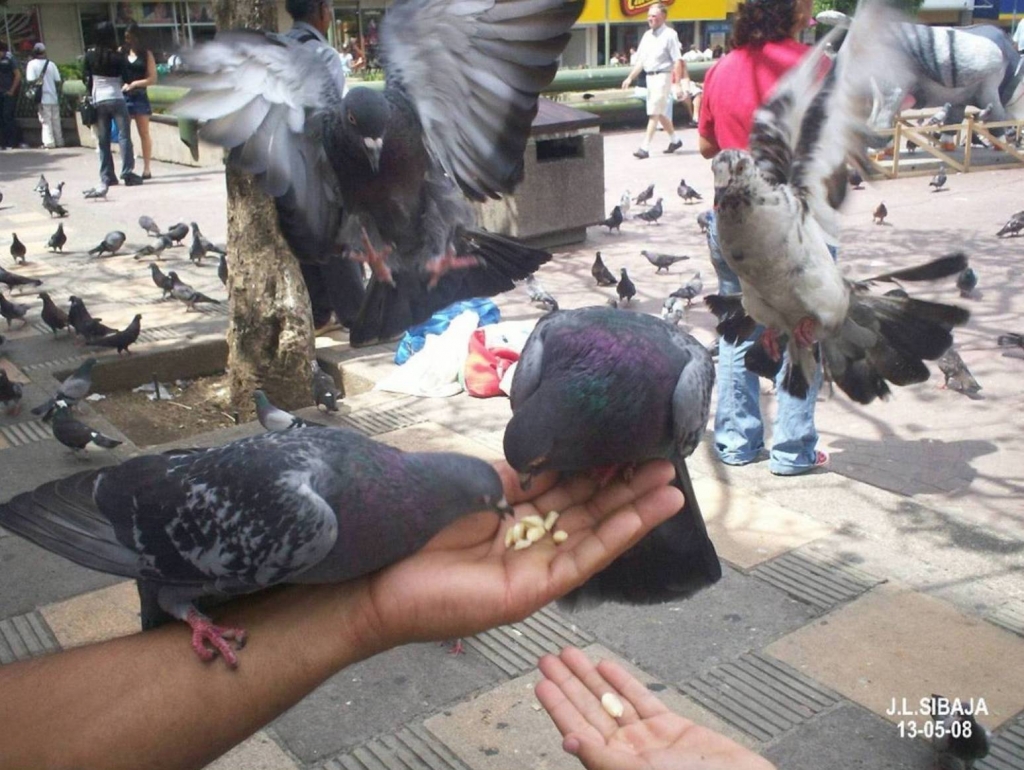 Foto de San José, Costa Rica