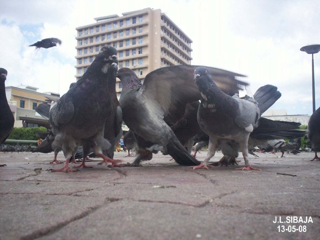 Foto de San José, Costa Rica