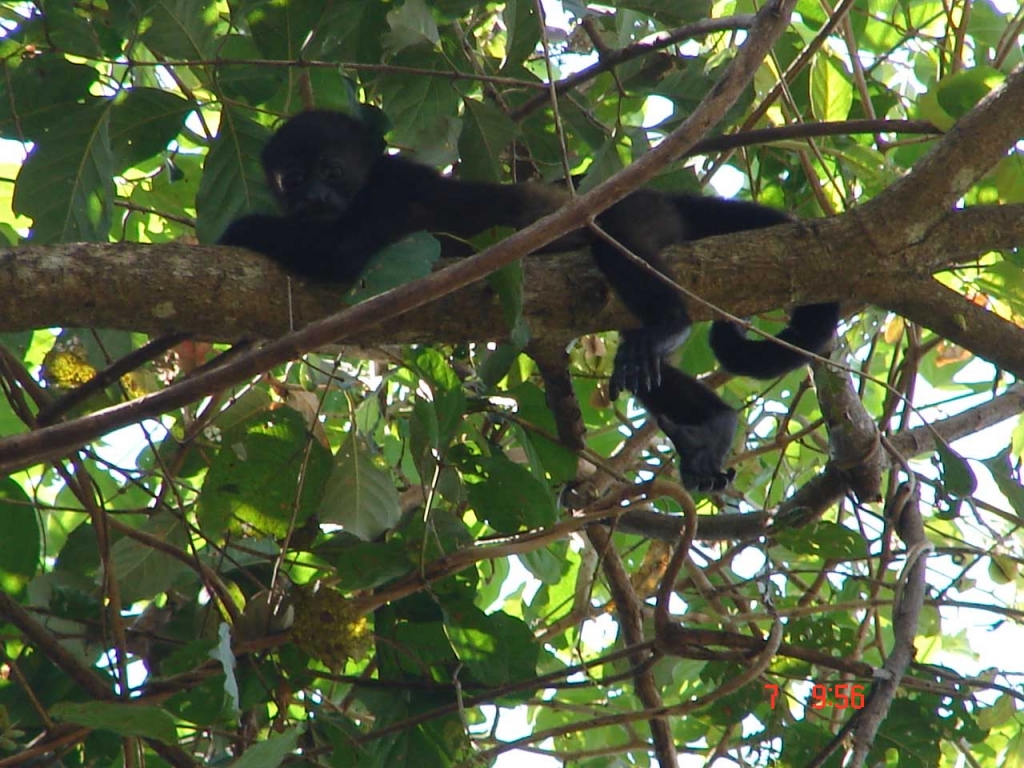 Foto de Paquera, Costa Rica