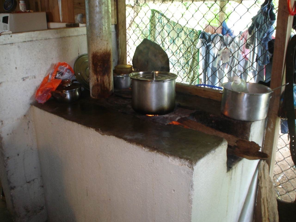 Foto de Higuerón de Upala (Alajuela), Costa Rica