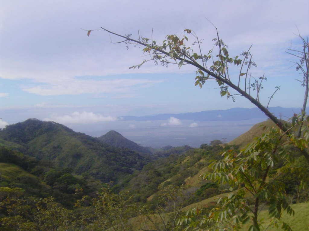 Foto de Monstes de Oro - Miramar, Costa Rica
