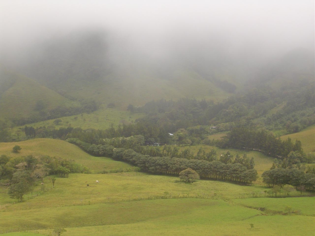 Foto de Monstes de Oro - Miramar, Costa Rica