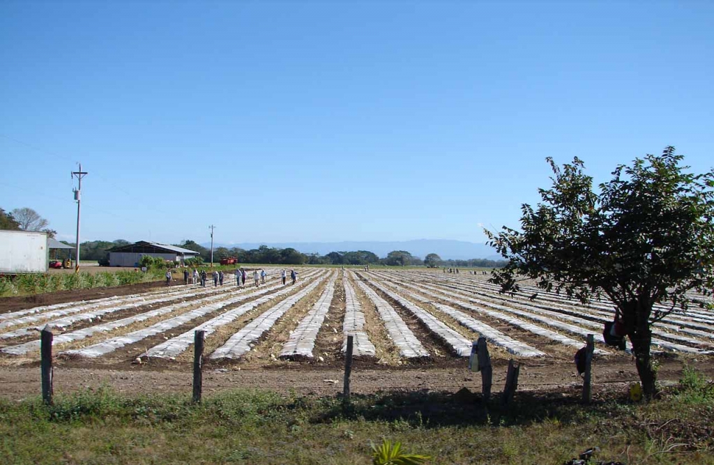 Foto de Pilas de Cangel, Costa Rica