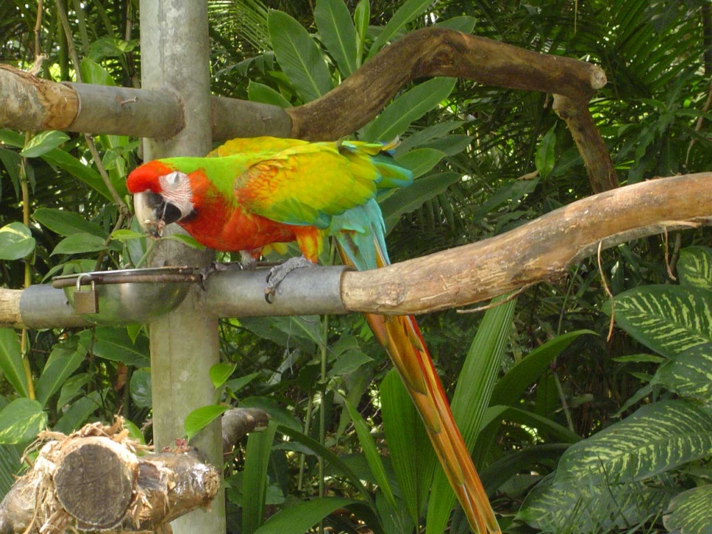 Foto de Alajuela, Costa Rica