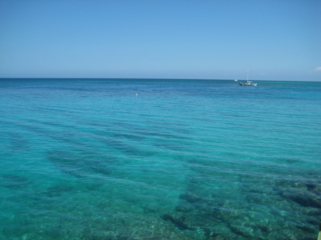 Foto de Mongobay , Jamaica, Jamaica