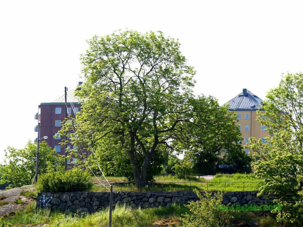 Foto de Estocolmo, Suecia