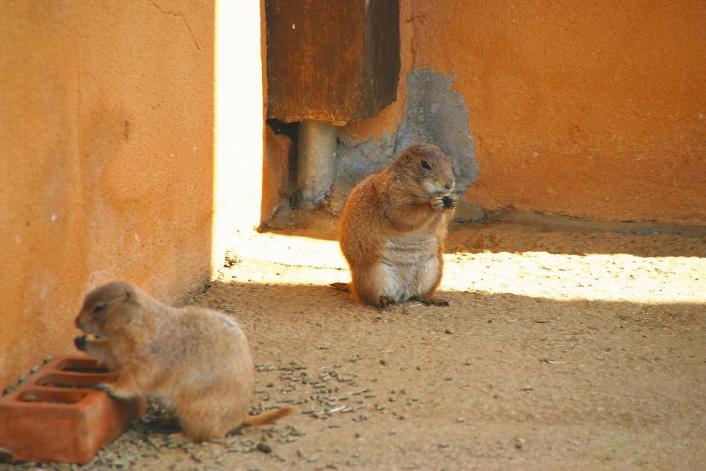 Foto de Cabárceno (Cantabria), España