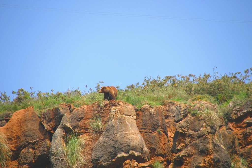 Foto de Cabárceno (Cantabria), España