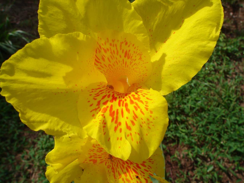 Foto de San Carlos - Alajuela, Costa Rica