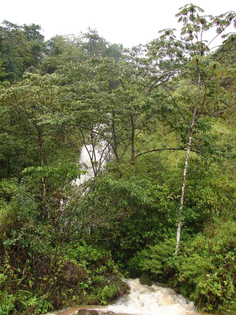 Foto de San Ramon - Alajuela, Costa Rica