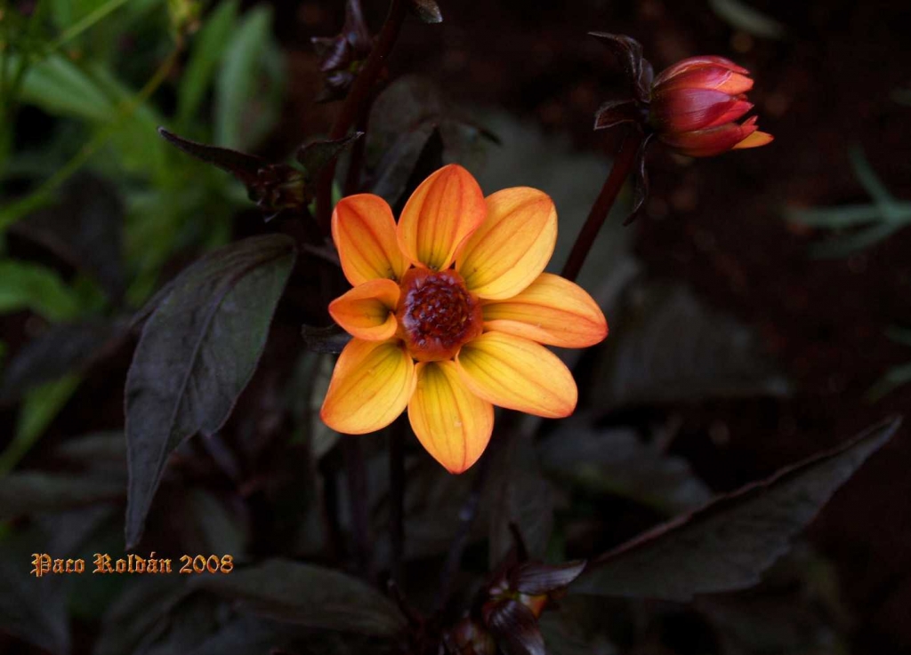 Foto de Estocolmo, Suecia