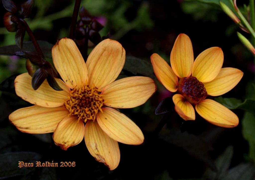 Foto de Estocolmo, Suecia