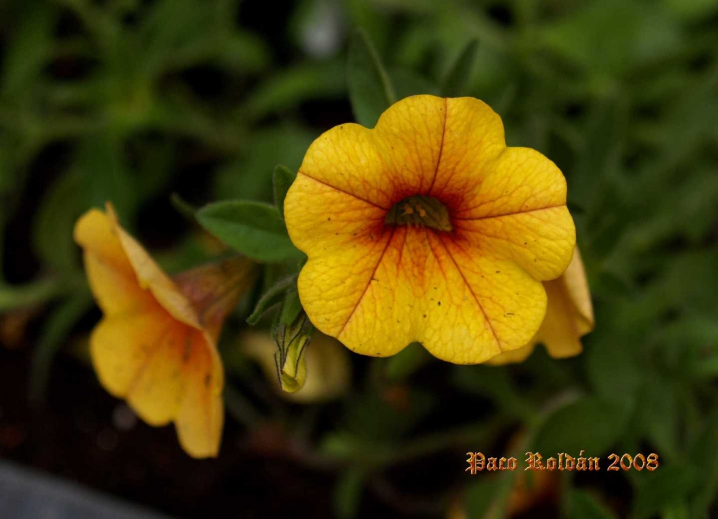 Foto de Estocolmo, Suecia