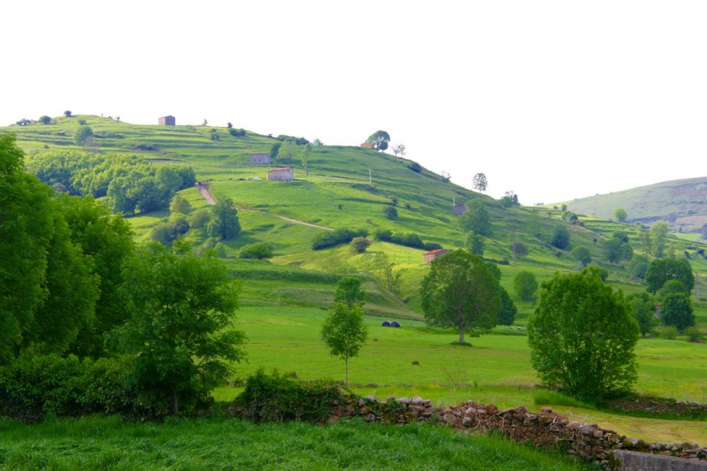 Foto de Villacarriedo (Cantabria), España