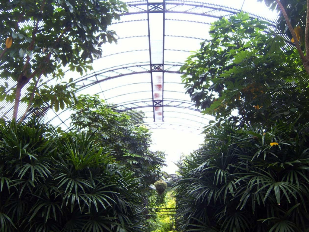 Foto de Valencia (València), España