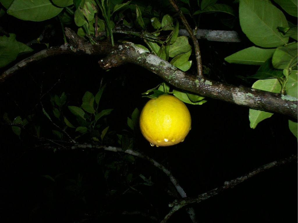 Foto de San Ignacio de Acosta, Costa Rica