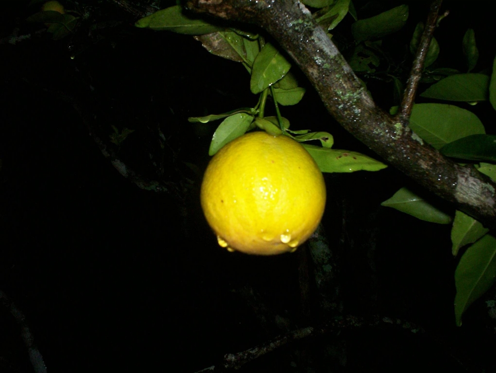 Foto de San Ignacio de Acosta, Costa Rica