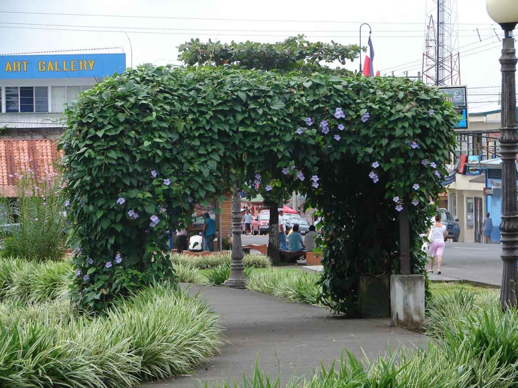 Foto de San Carlos (Alajuela), Costa Rica