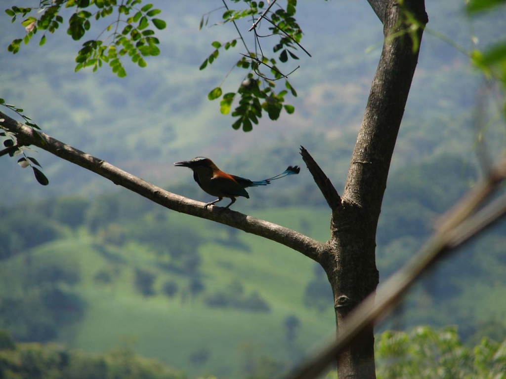 Foto de Las Juntas, Costa Rica