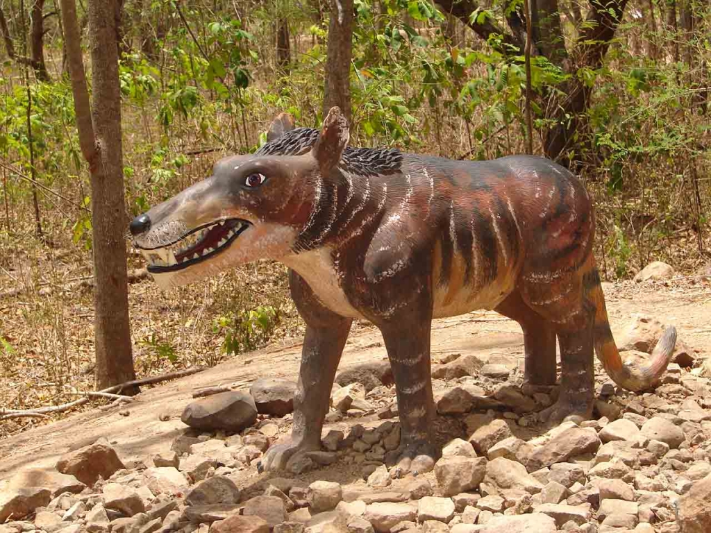 Foto de Puntarenas, Costa Rica