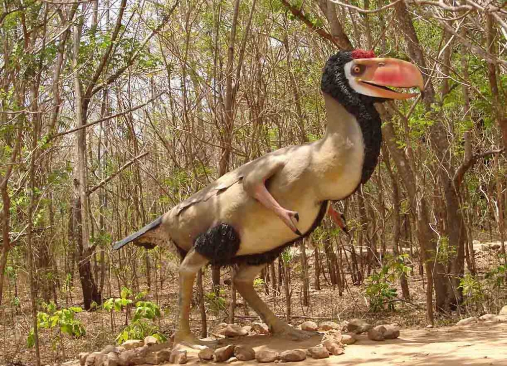 Foto de Puntarenas, Costa Rica