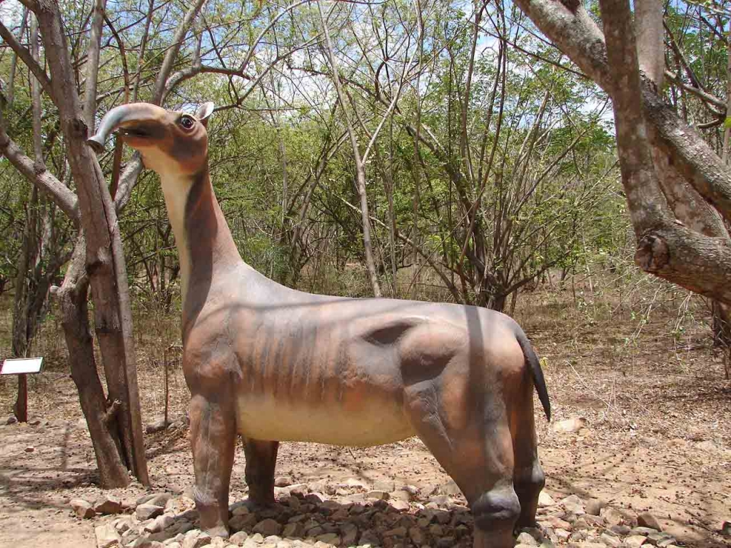 Foto de Puntarenas, Costa Rica