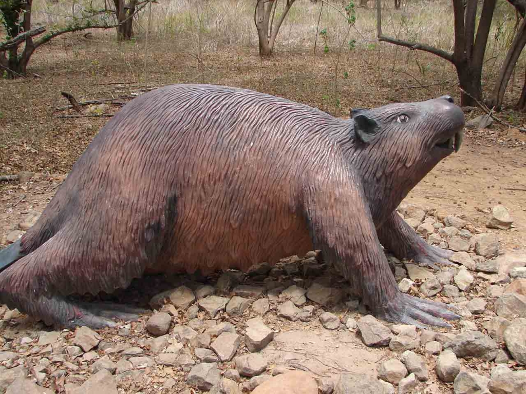 Foto de Puntarenas, Costa Rica
