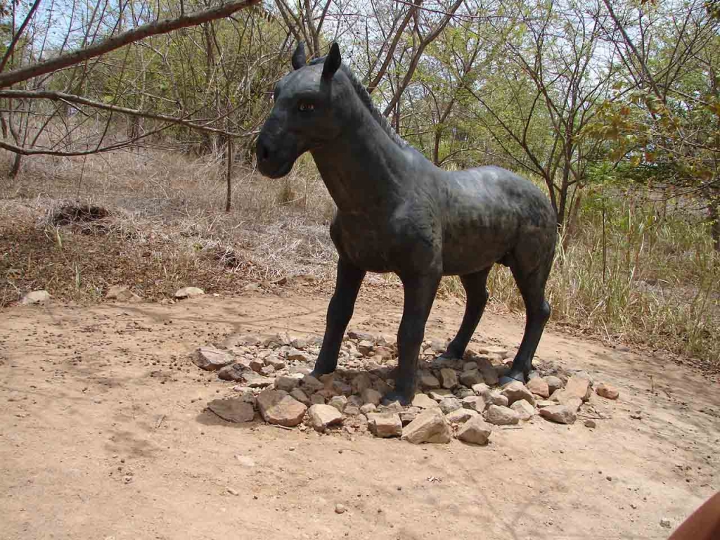 Foto de Puntarenas, Costa Rica