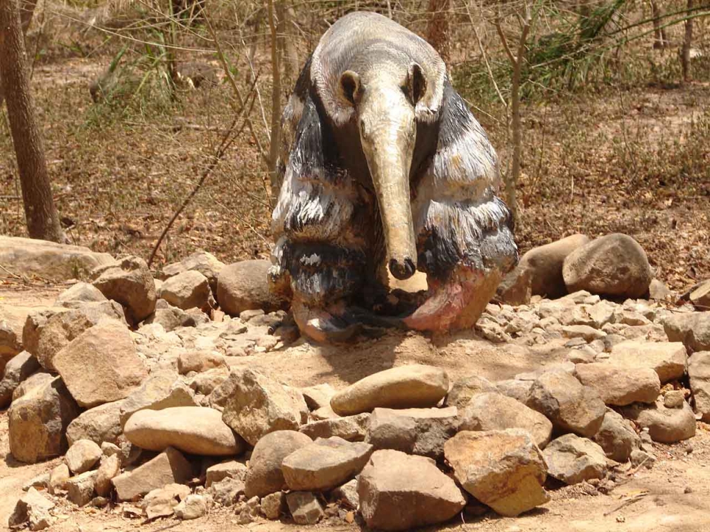 Foto de Puntarenas, Costa Rica