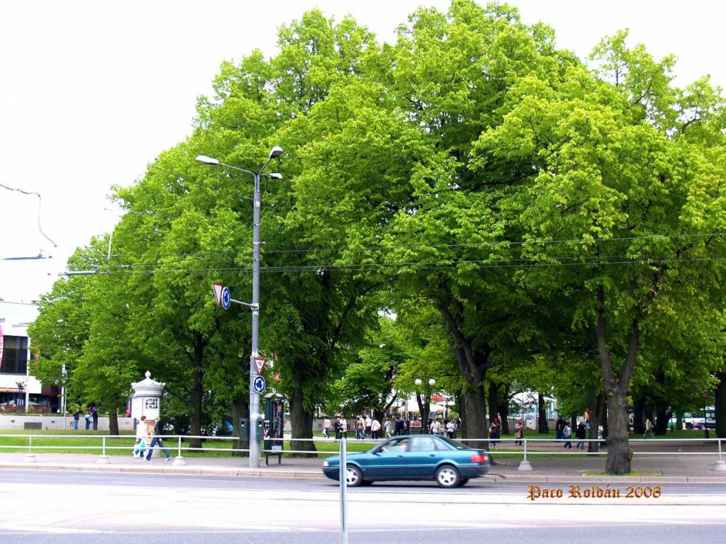 Foto de Tallin, Estonia