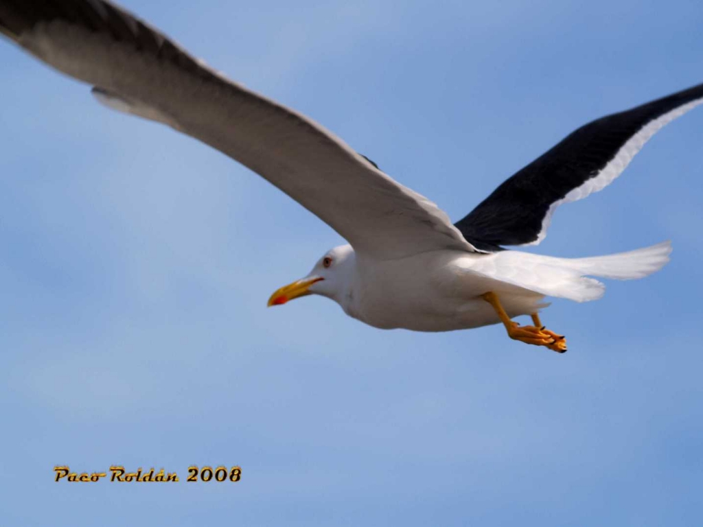 Foto de Estocolmo, Suecia