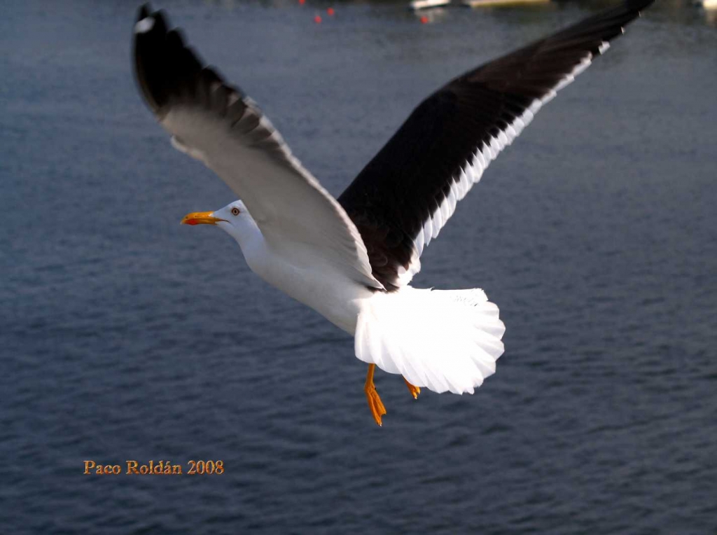 Foto de Estocolmo, Suecia