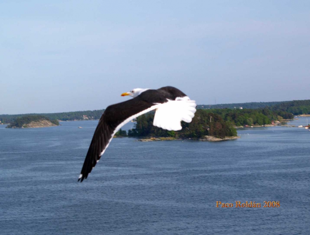 Foto de Estocolmo, Suecia