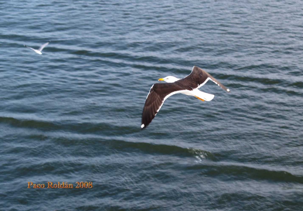 Foto de Estocolmo, Suecia